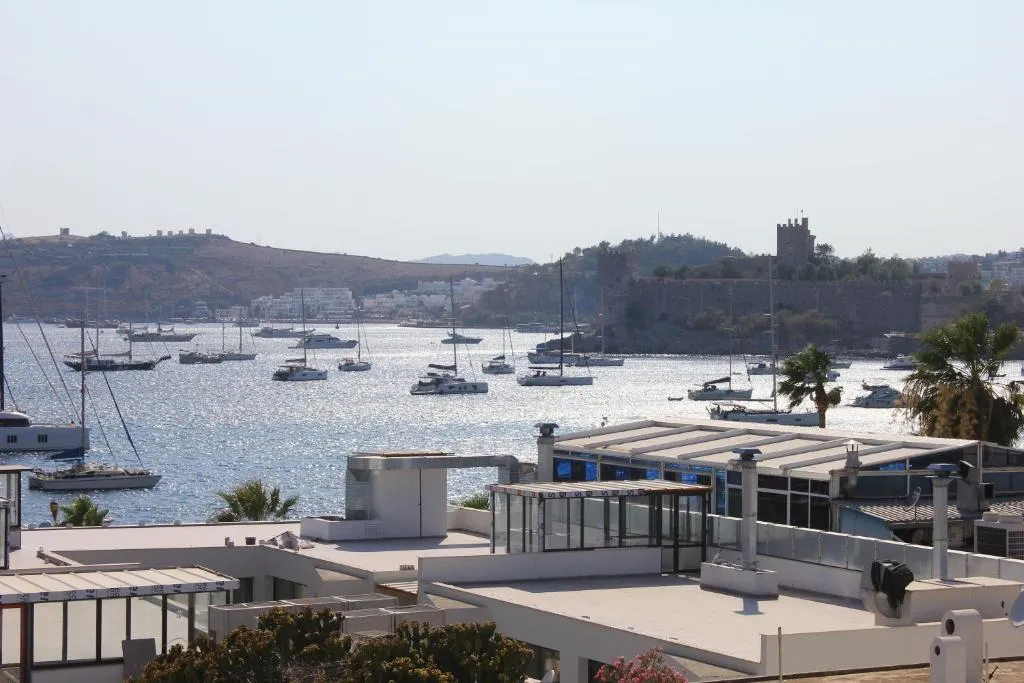 Image of BD Suites
