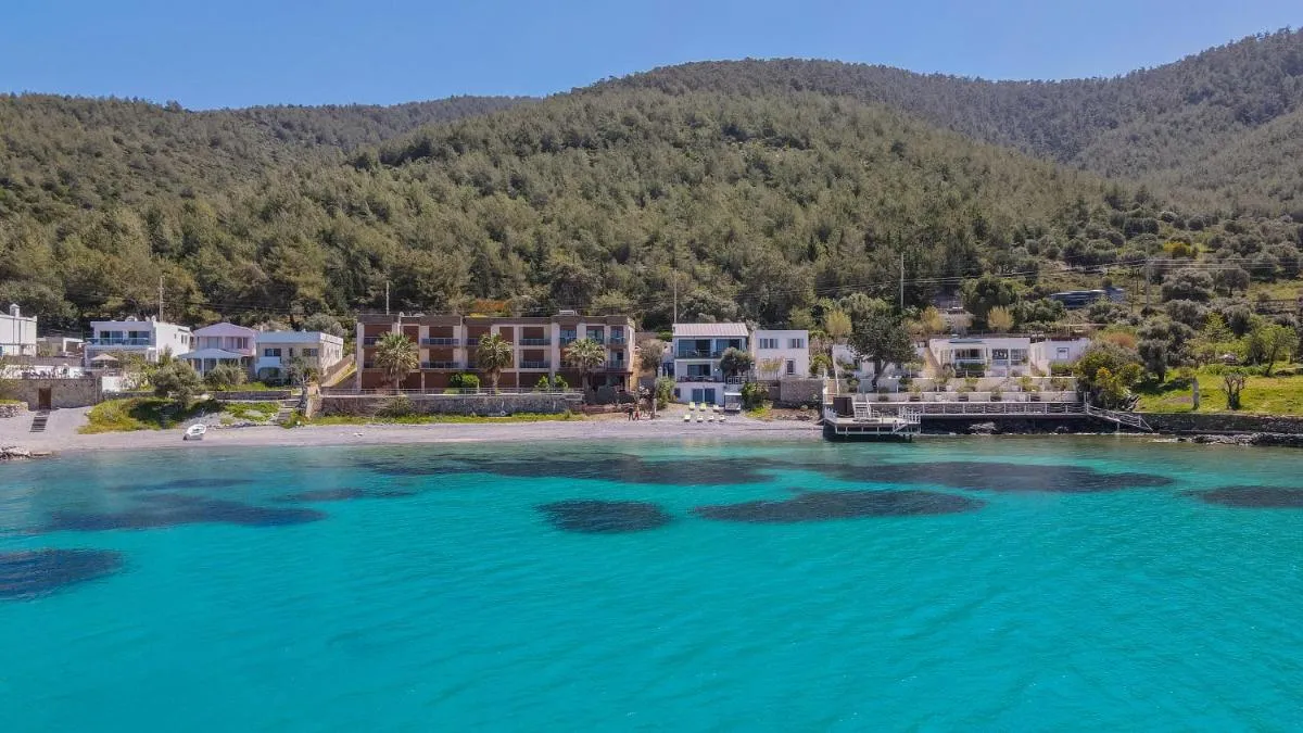 Image 4 of Love Beach Villa