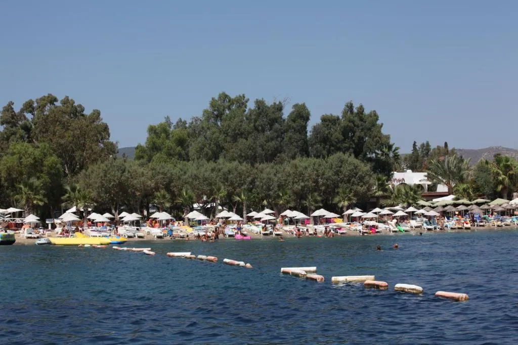 Image 4 of Okaliptus Hotel