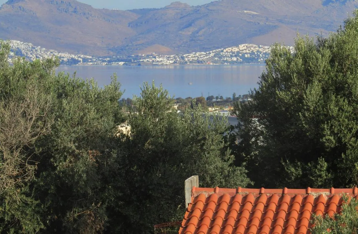 Image 3 of Asklipion Valley guest house