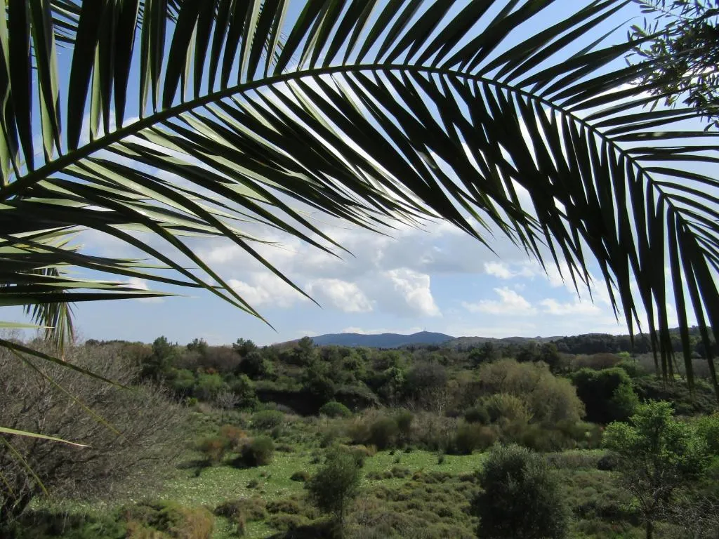 Image of Asklipion Valley guest house