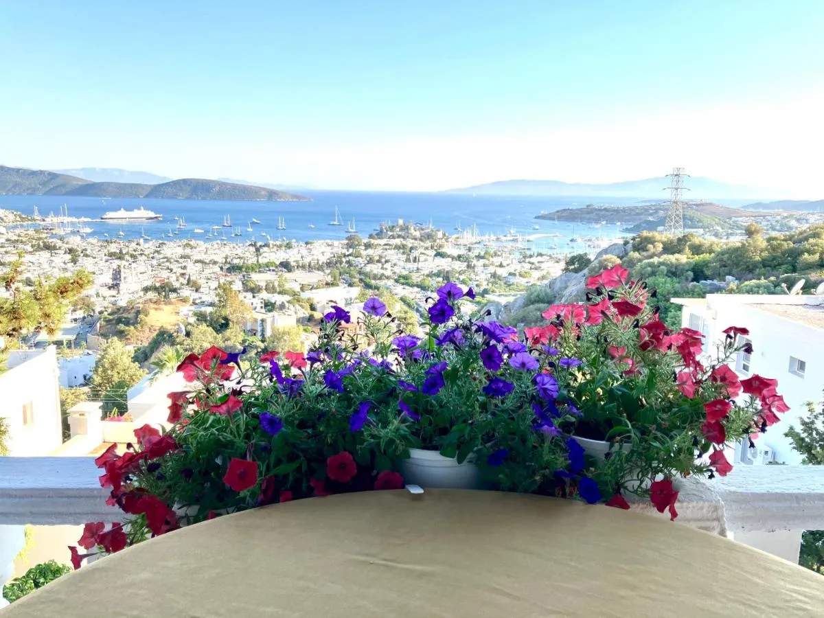 Image 1 of BODRUM BURCU VILLA , Magnificent Sea View, Cozy, Free Otopark, Free Wifi