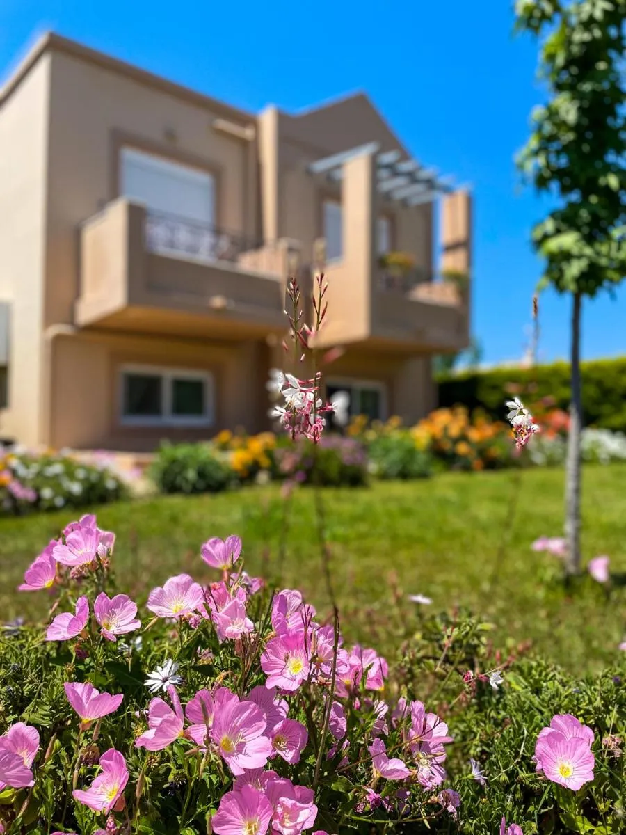 Image 5 of Casa Verde Houses