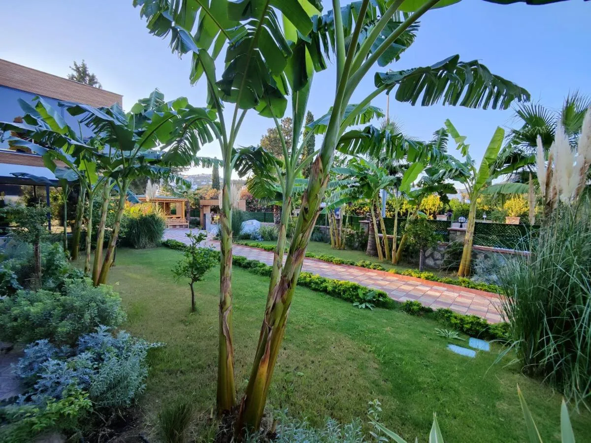 Image 5 of Çınar Butik Hotel Bodrum