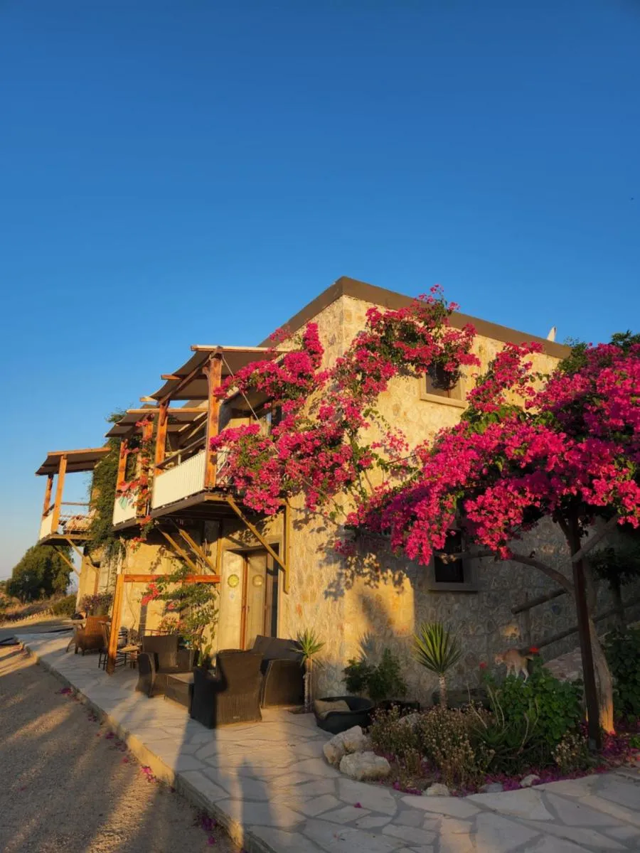 Image 1 of Eco Farm Boutique Hotel