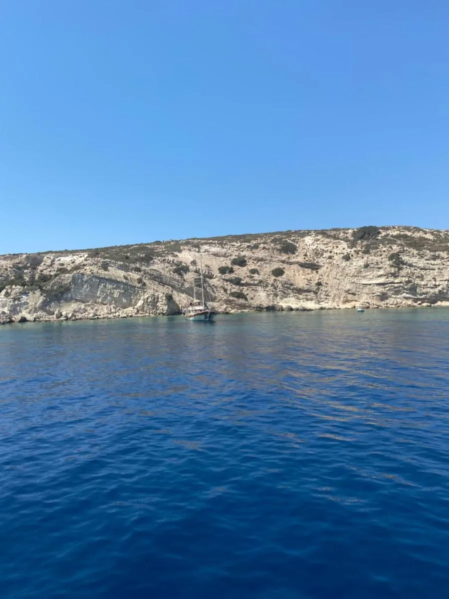 Image 1 of Hestia