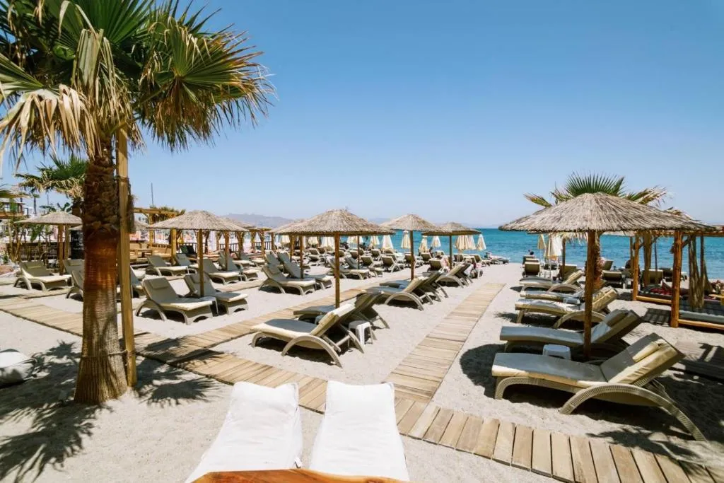 Image of Jacksons sea view living