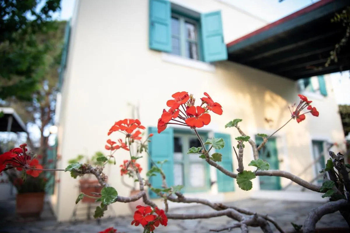 Image 5 of Kos Gaia Garden House