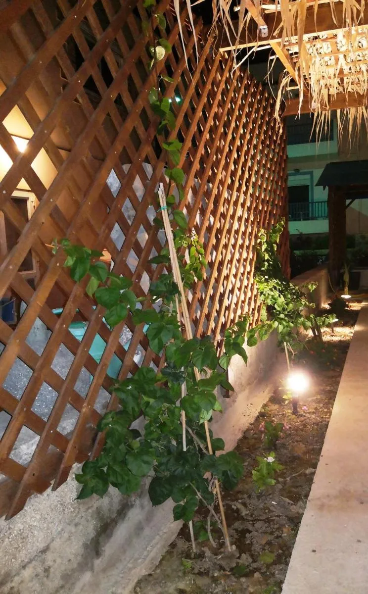 Image 6 of Marika Apartments