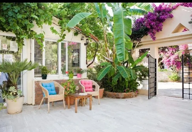 Image 5 of Merve Apartments, your home from home in central BODRUM, street cats frequent the property, not all apartments have balconies , ground floor have terrace with table and chairs