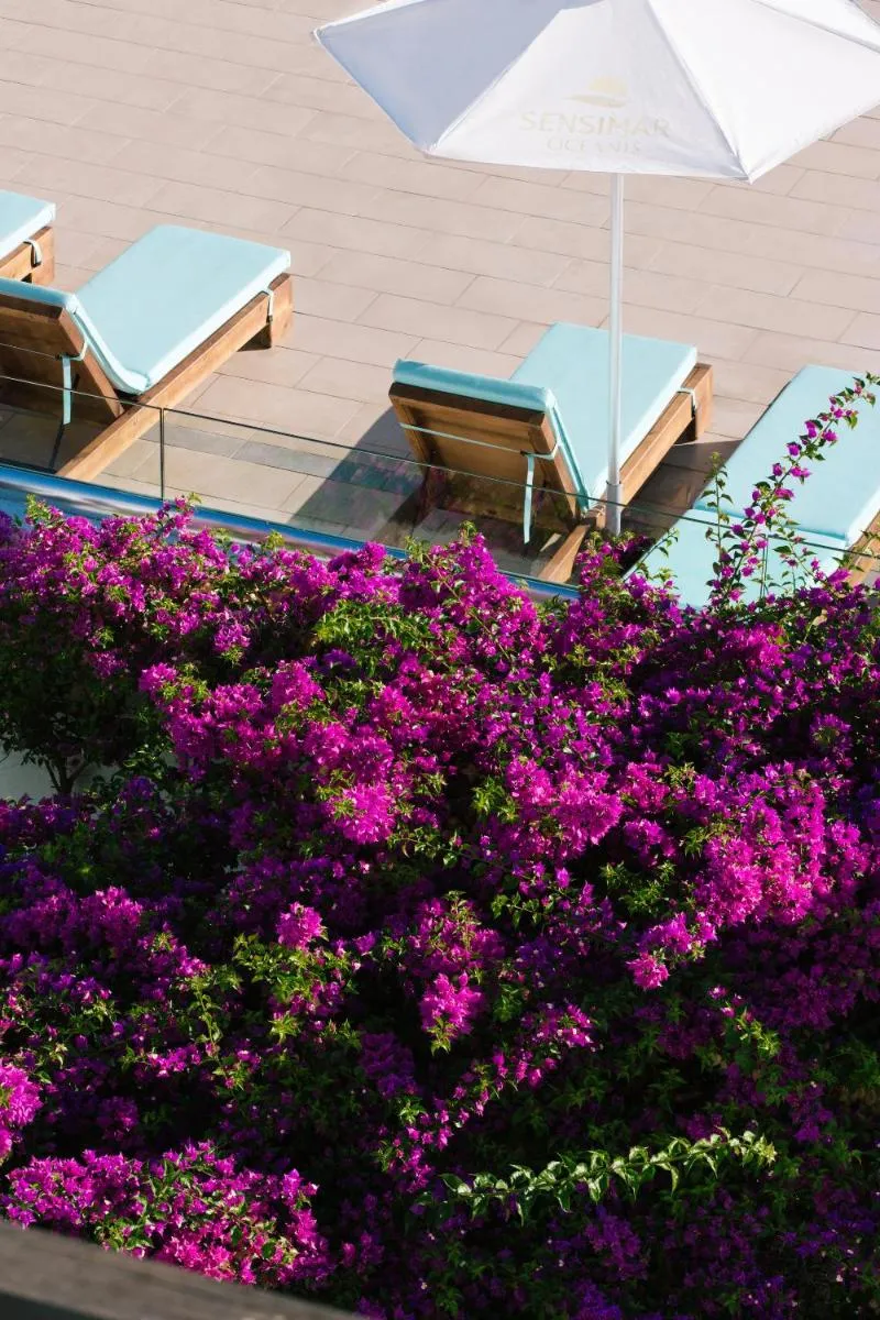 Image 6 of Oceanis Beach & Spa Resort