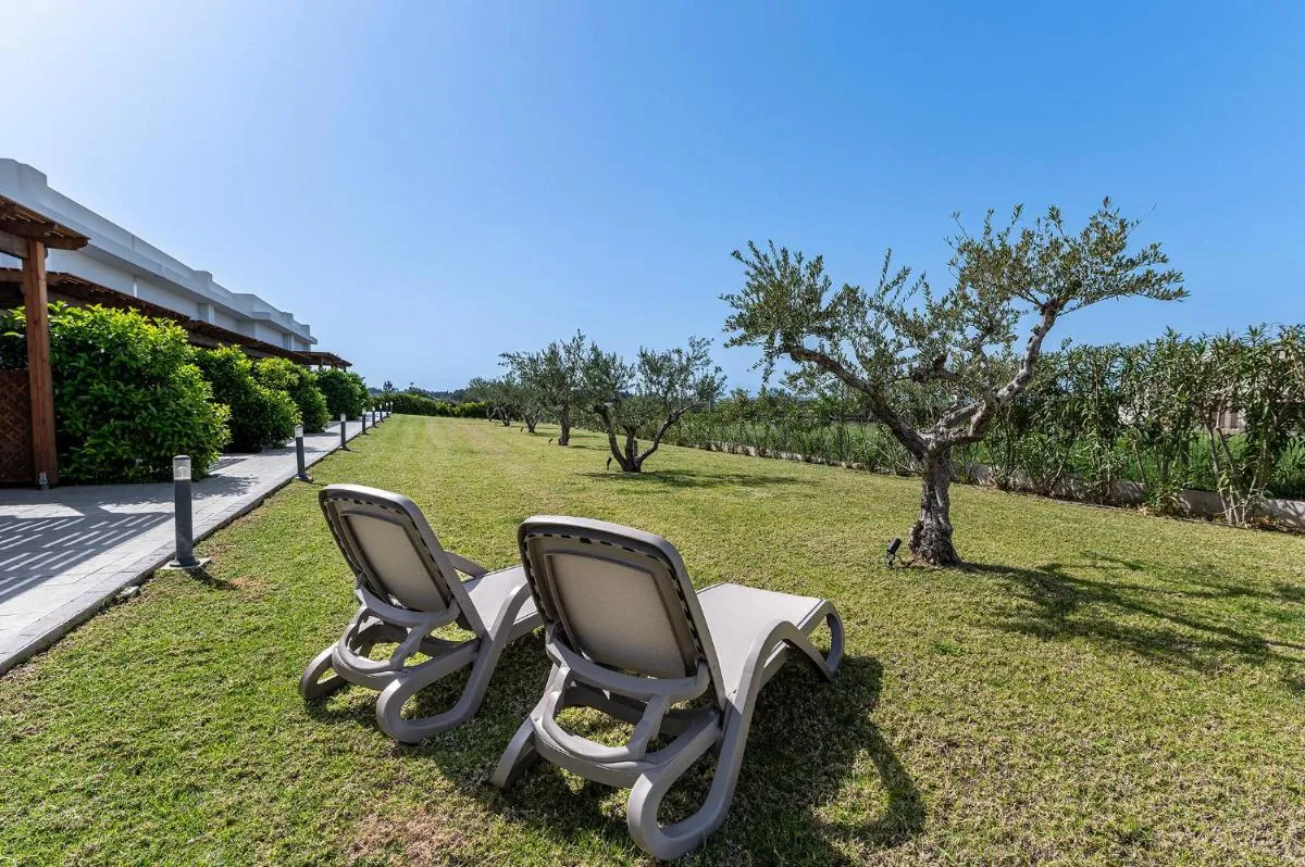 Image 1 of Olive Tree Garden