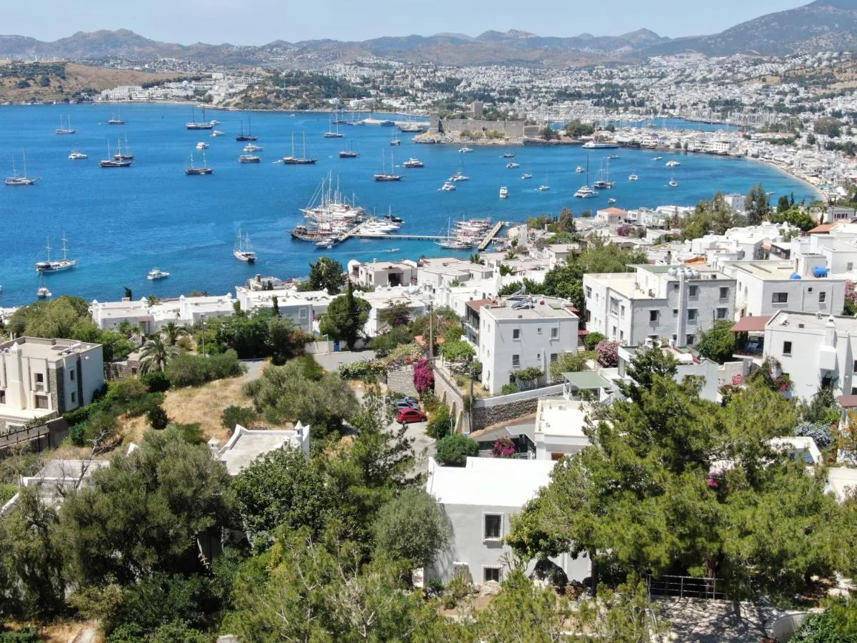 Image 3 of Private Villa 5-Bedroom with Pool and Sea View in Central Bodrum