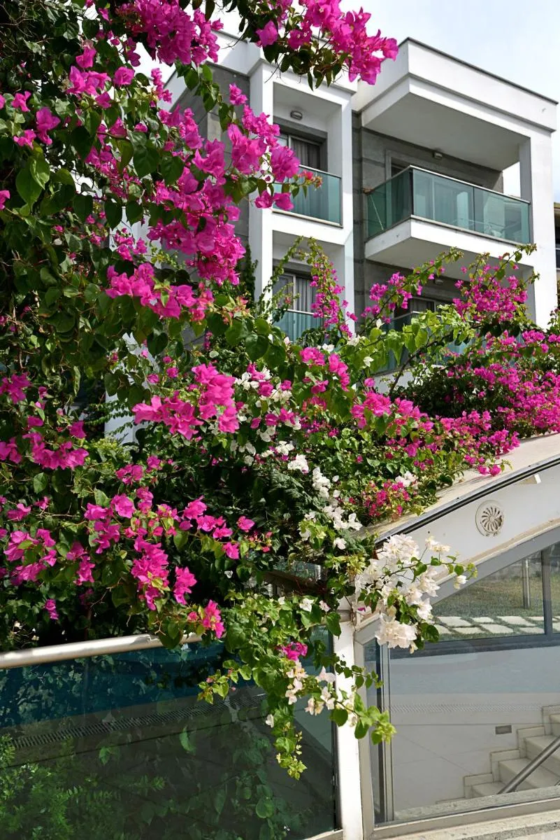 Image 6 of Royal Palm Residence
