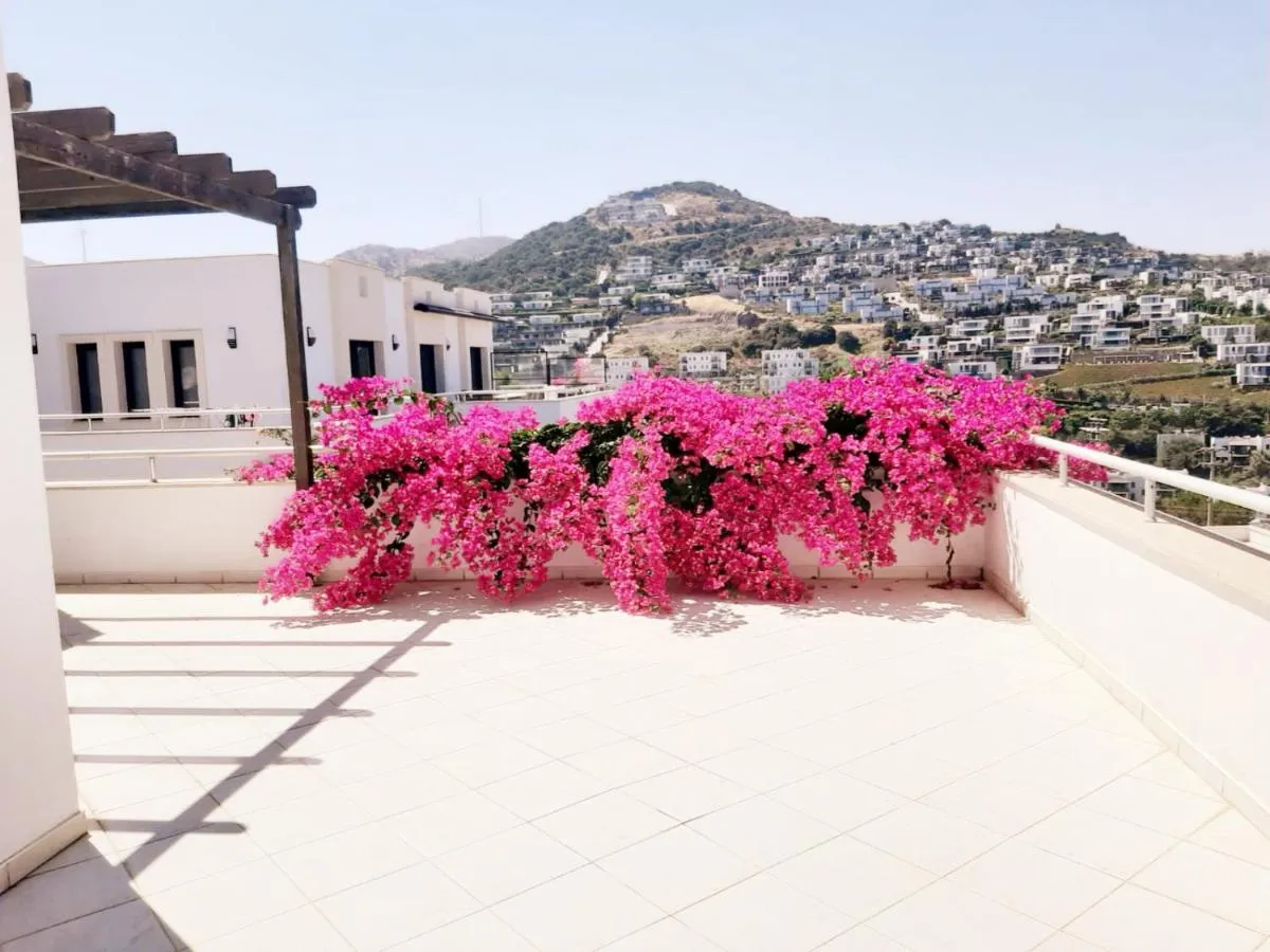 Image 4 of Seaview (Sunset & Greek-Islands) Luxury Apartment