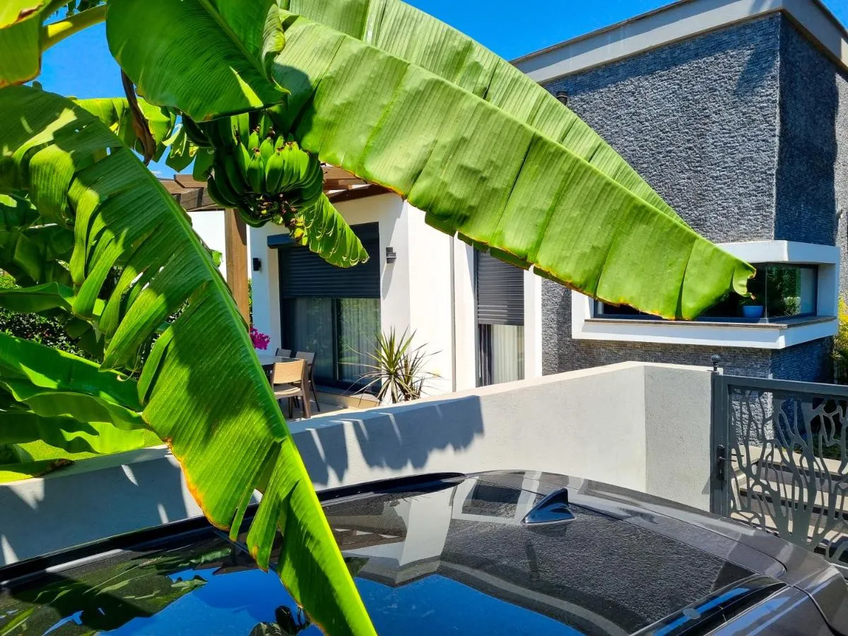 Image 6 of Suelo Flat Villa for Family