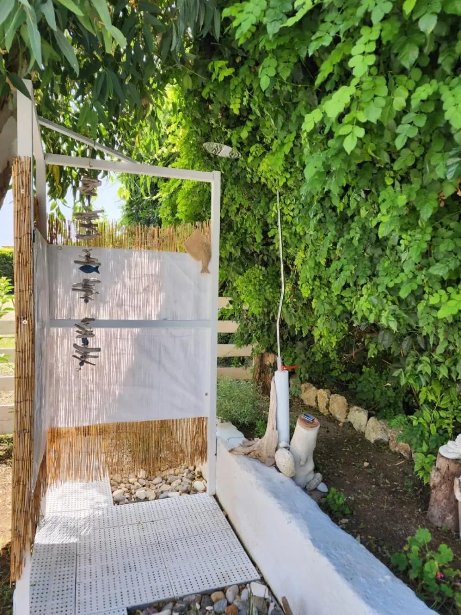 Image 4 of Under the vine garden house