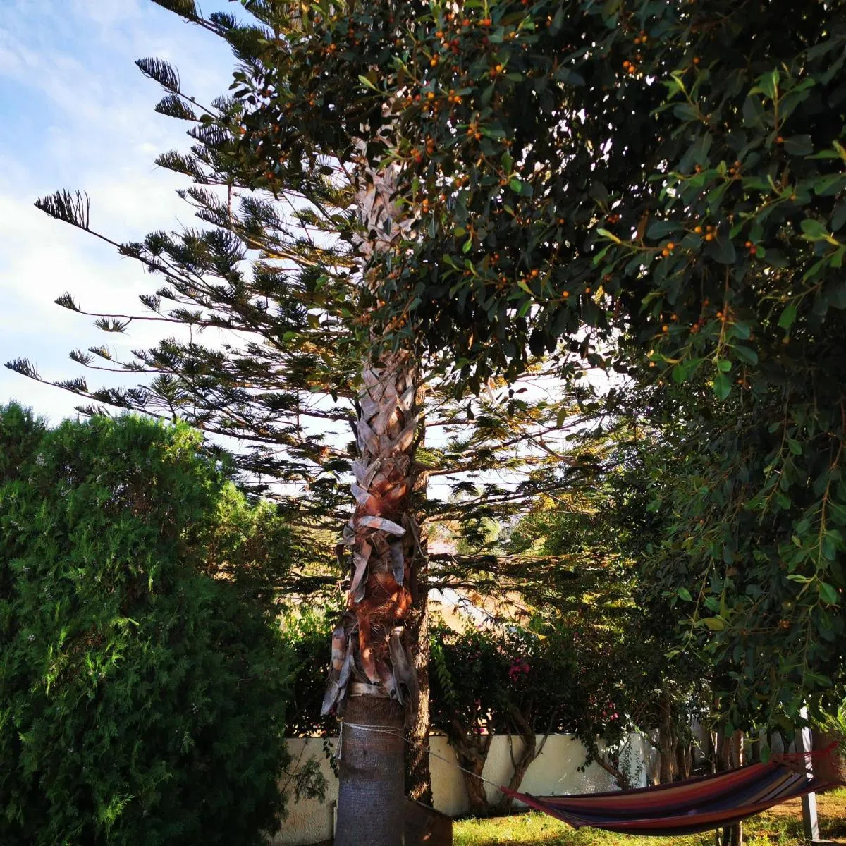 Image 6 of Villa Irene