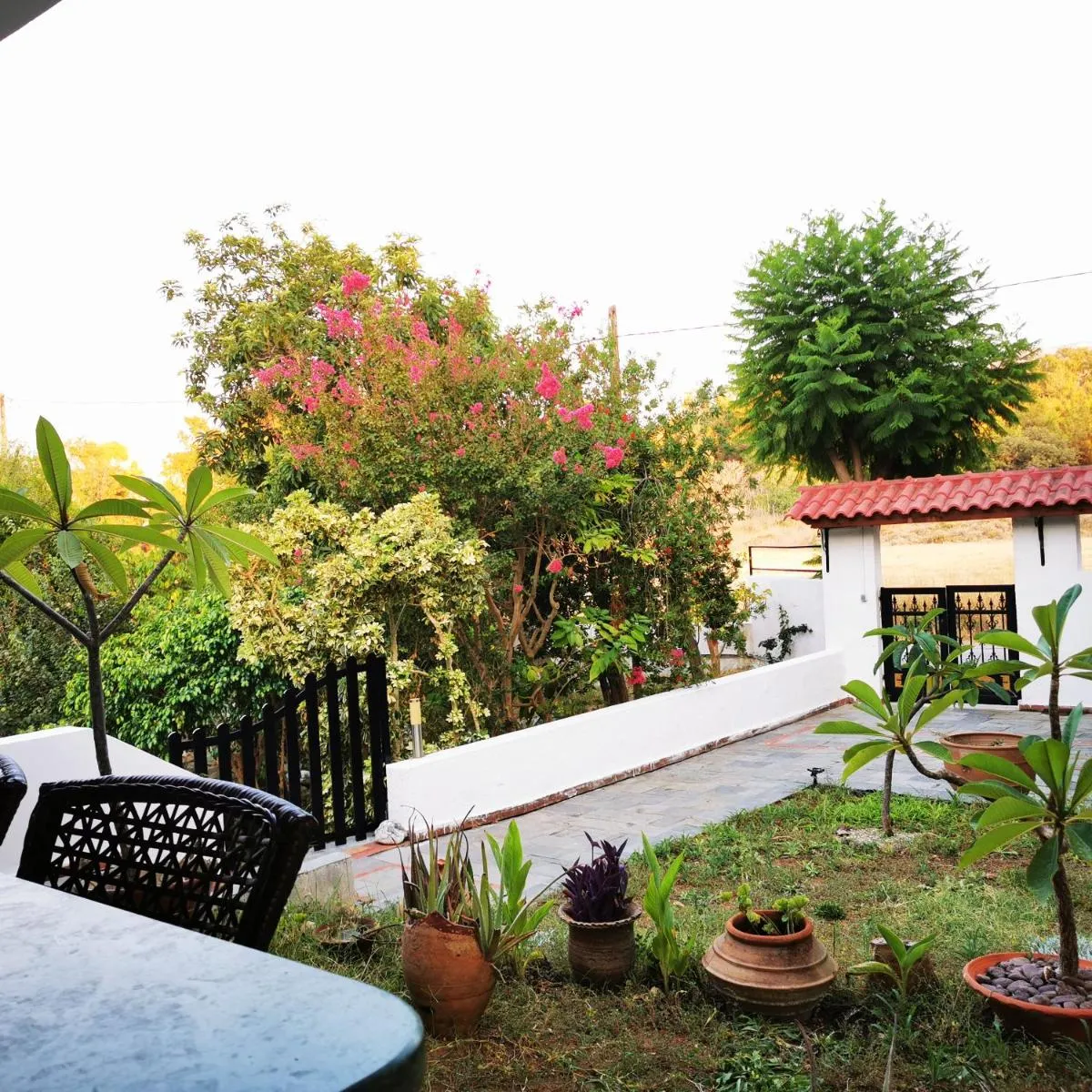 Image 5 of Villa Irene