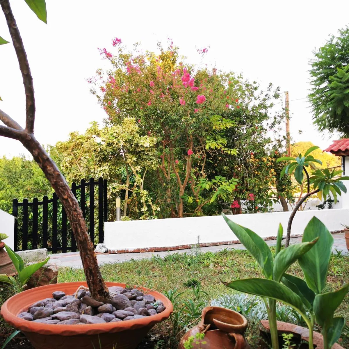 Image 4 of Villa Irene
