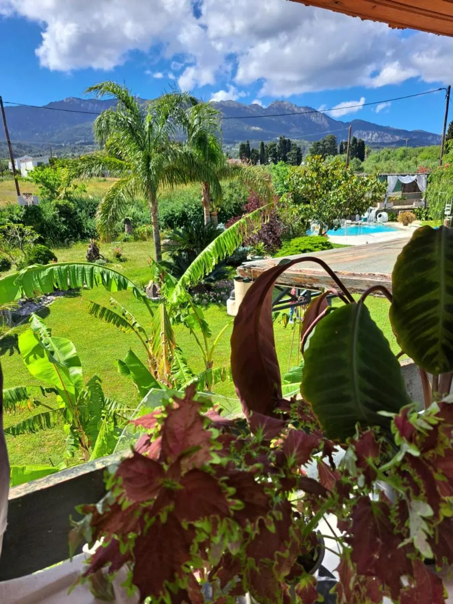 Image 4 of villa in paradise